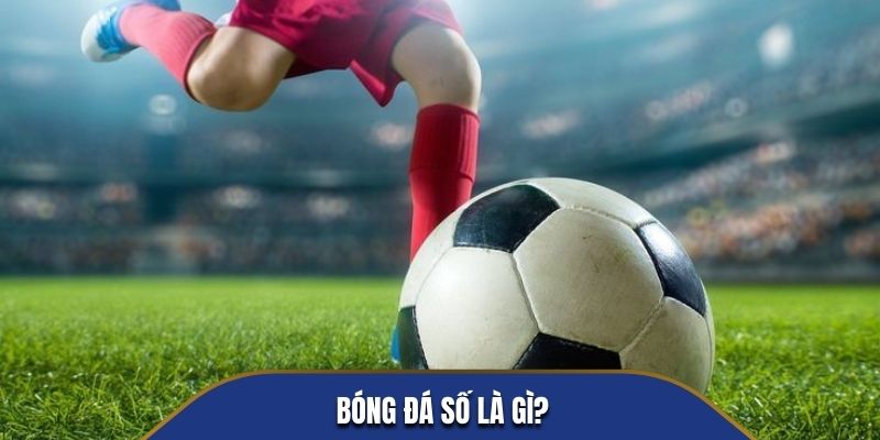 Bóng đá số là gì?