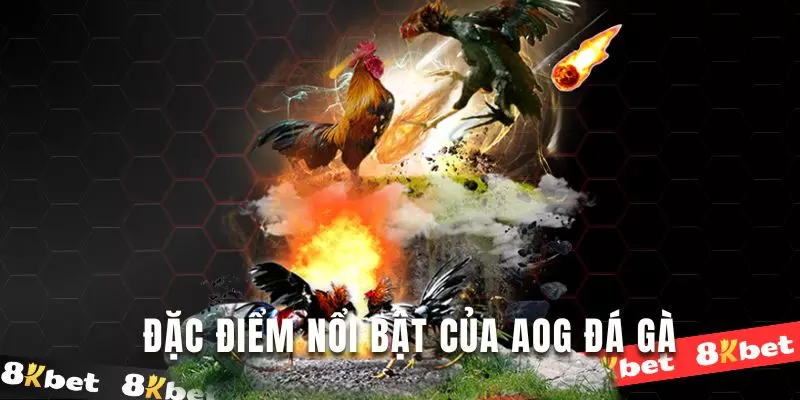 Khám phá điểm nổi bật tại sảnh AOG đá gà tại đây